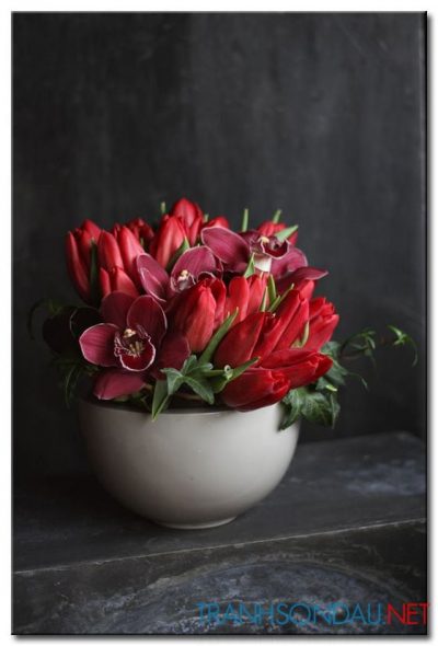Hoa Tulip Đỏ M1265