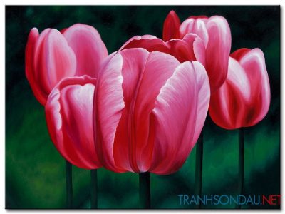 Những Cánh Hoa Tulip M1340