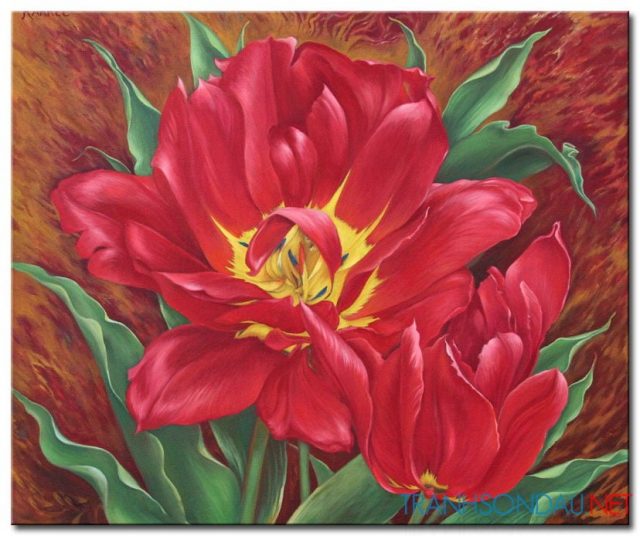 Những Cánh Hoa Tulip M1363